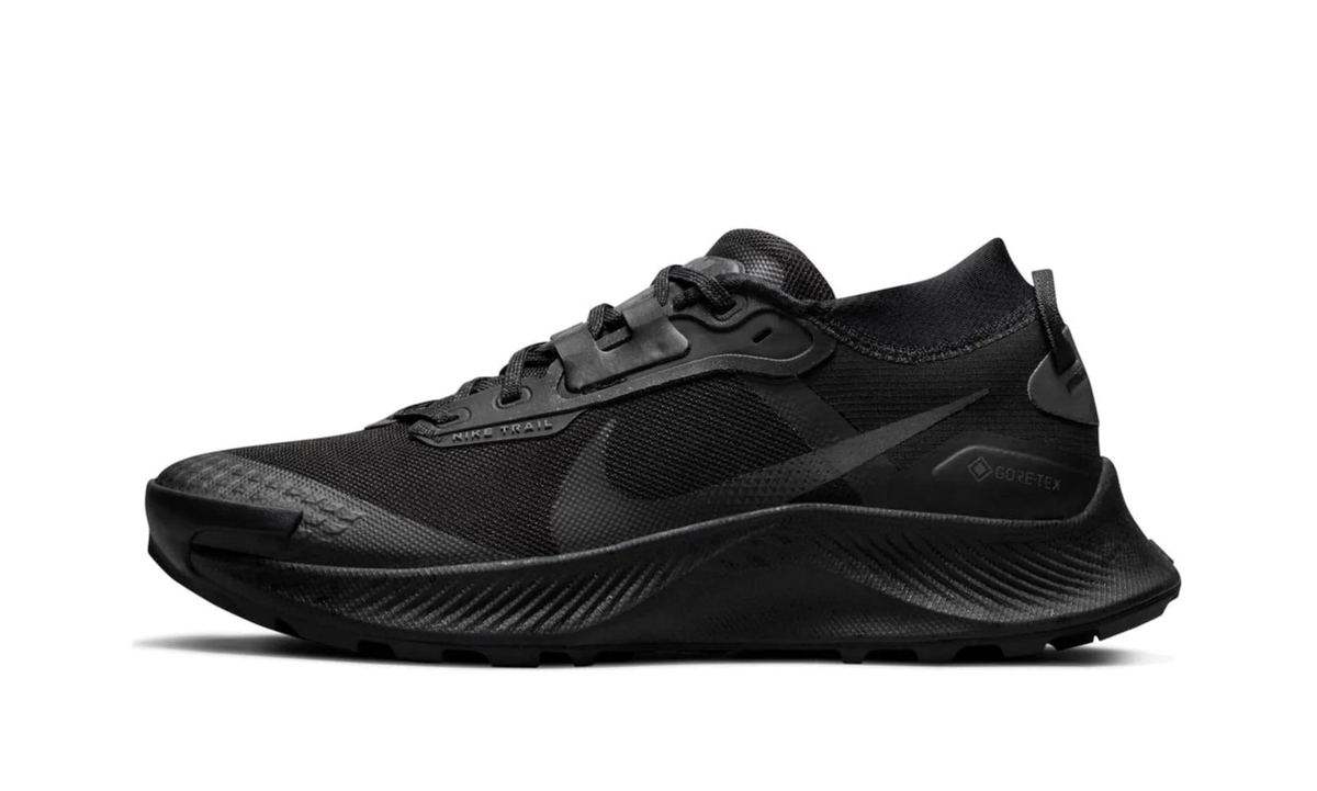 Pegasus Trail 3 Gore-Tex Wmns "Black" DC8794 001