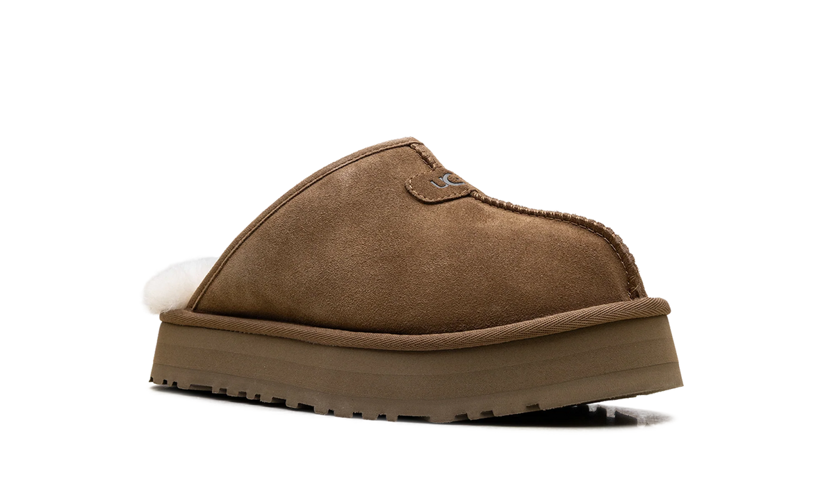 Discoquette WMNS "Chestnut" 1153275 CHE
